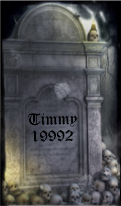 Timmy19992: Designed the Dawnguard Paladin armor & created Sot's Death Reaper artwork on our Nexus mod page.